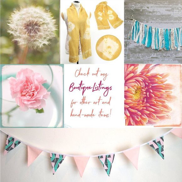 Pink Carnation 5x5 Luster Photographic Art Print, Floral Nature Flower Cottage - Picture 2 of 2